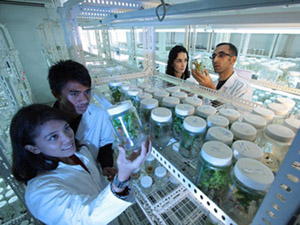 Science Laboratory doss网站攻击